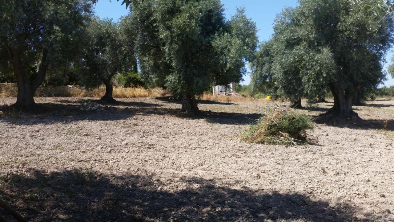 Serra Niedda Resort & Agriturismo Sorso Bagian luar foto