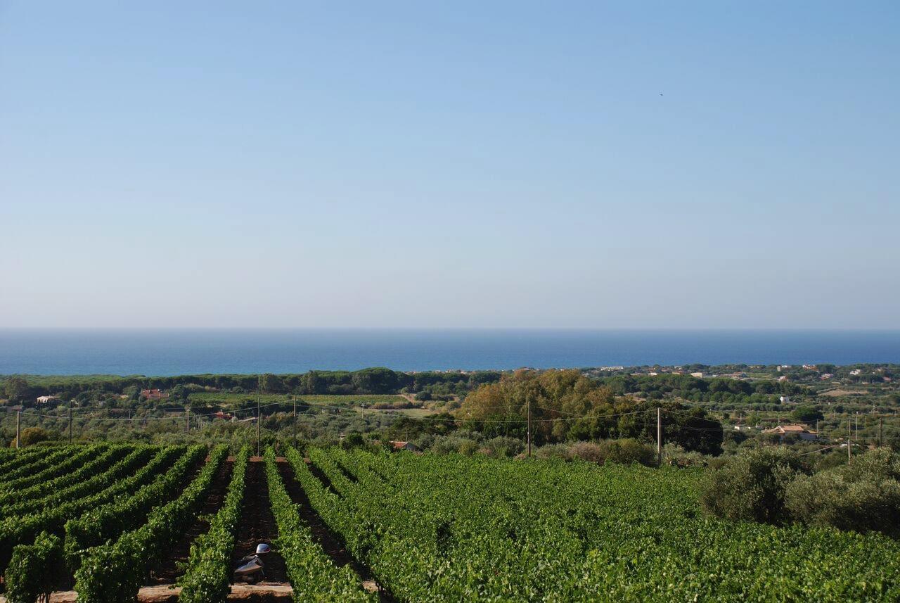 Serra Niedda Resort & Agriturismo Sorso Bagian luar foto